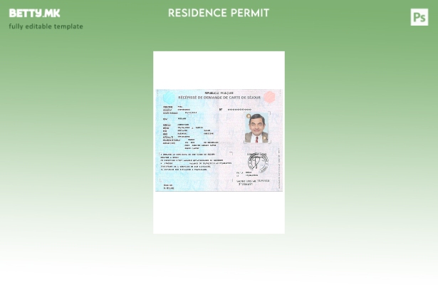 Модерен стил Шаблон за прием на апликација за картичка за престој во Франција